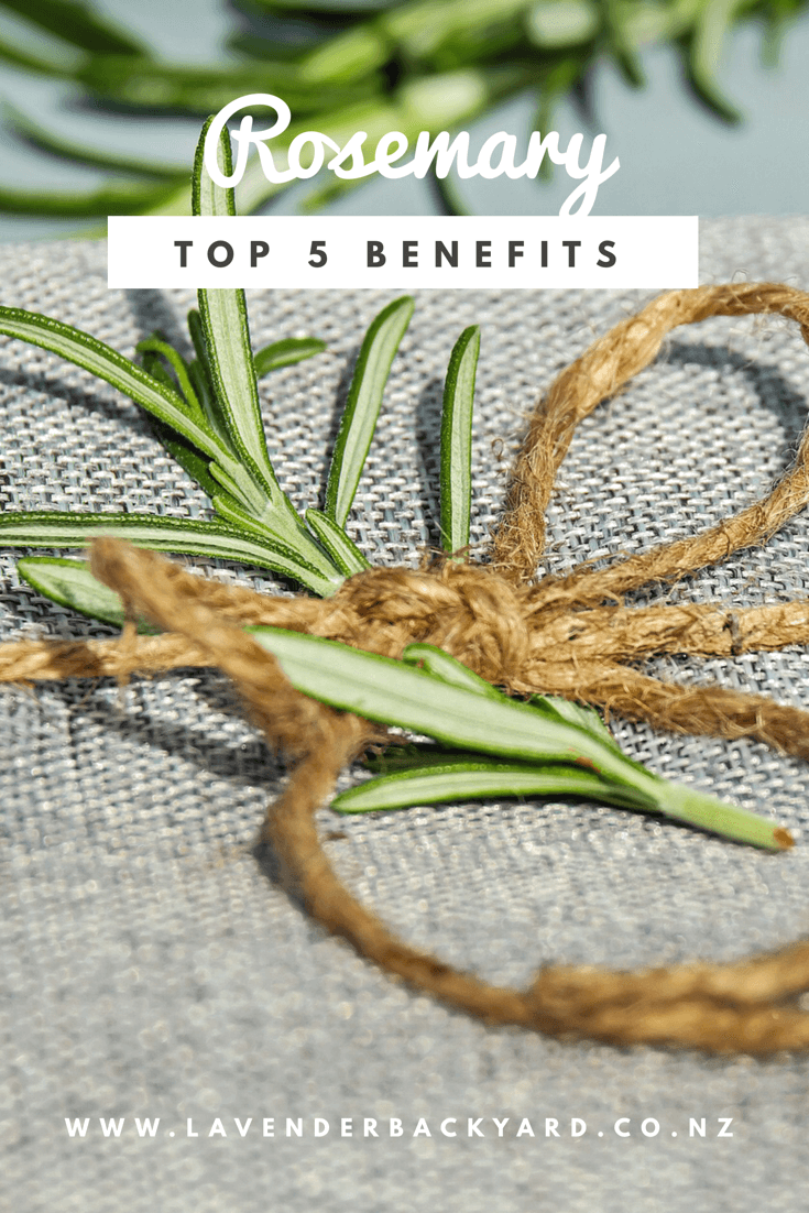 Benefits Of Rosemary