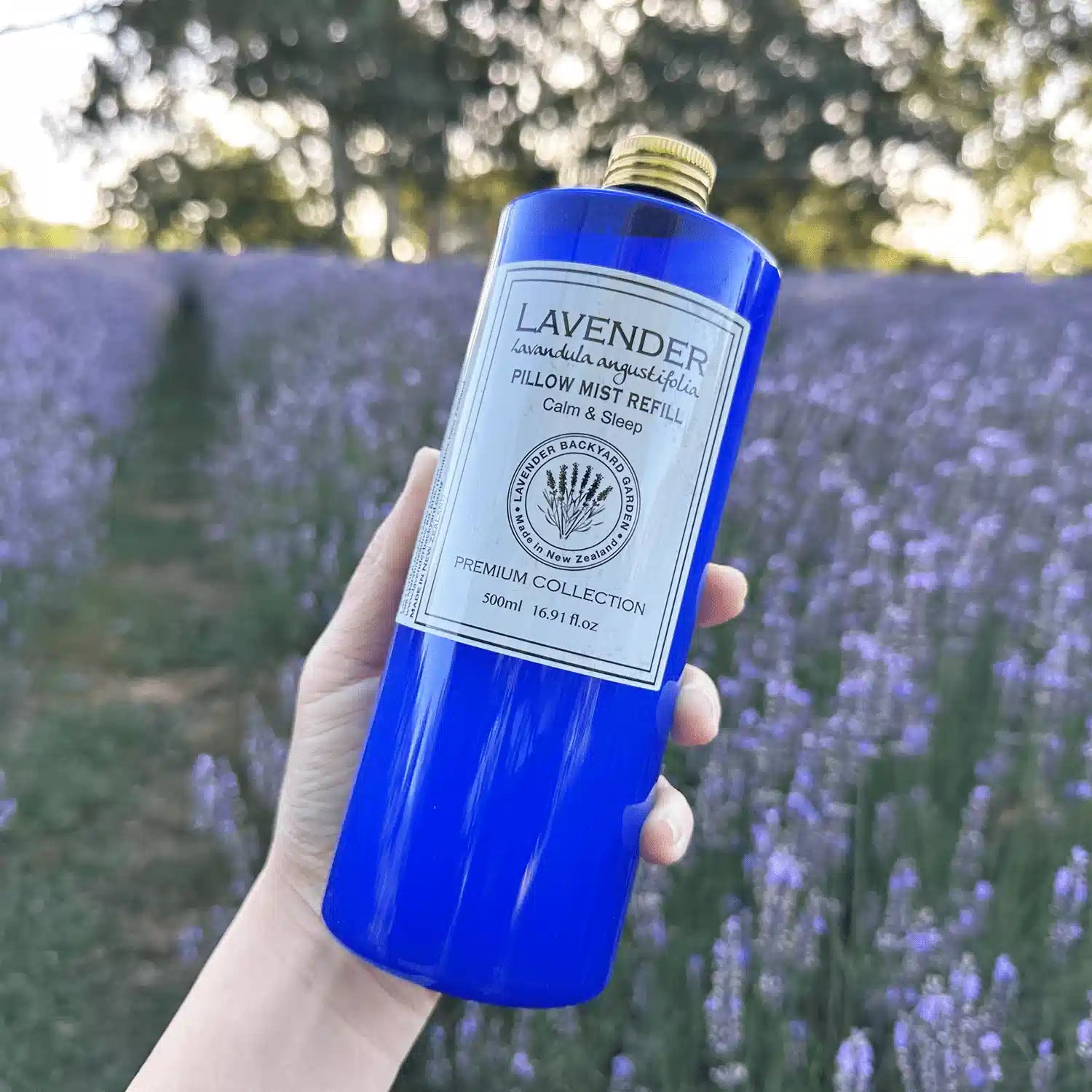 500ml Pillow Sleep Spray refill bottle, scented by essential oil, held by hand against a backdrop of blooming lavender fields at Lavender Backyard Garden, NZ.