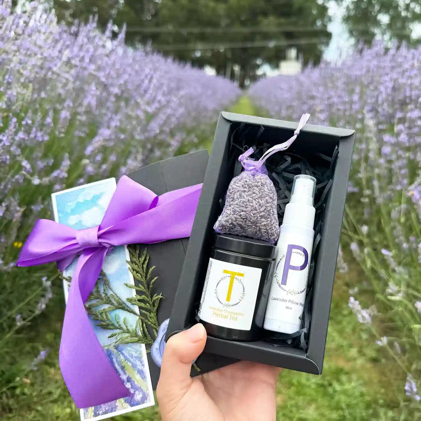 Indulgent Relaxing Gift Set for Mother from NZ Lavender Farm, featuring Lavender Sleep Spray (30ml Travel Size), Lavender & Camomile Herbal Tea (Loose Leaf Travel Size), Dried Lavender Sachet, and a Lavender Field Bookmark, held in hand against the backdrop of blooming lavender fields at Lavender Backyard Garden, NZ.