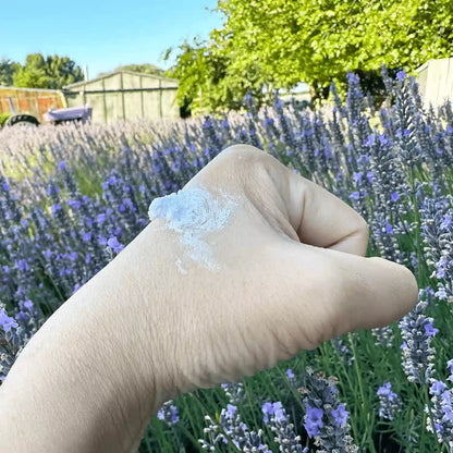 Feature texture of lavender sugar scrub on hand against purple lavender bloomings at Lavender Backyard Garden background.