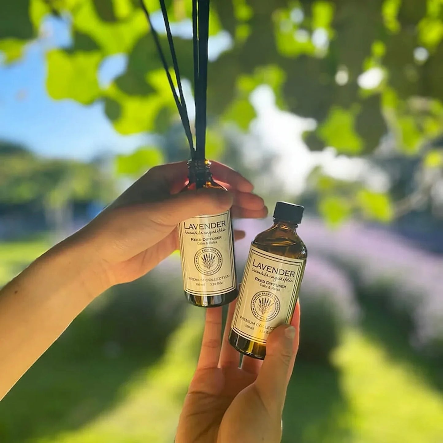 Amber bottle of lavender reed diffuser scented with pure lavender essential oil, set against a vibrant backdrop of a New Zealand lavender farm's blooming lavender field.