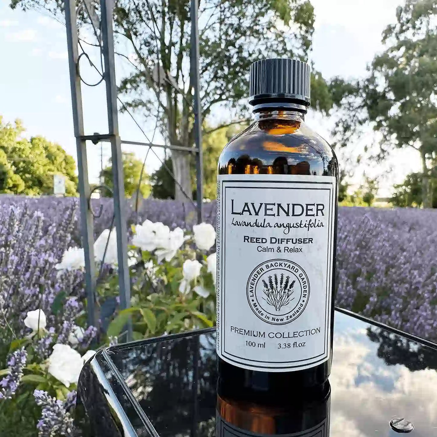 Aromatherapy Lavender Essential Oils Reed Diffuser in amber glass bottle, placed against a purple lavender field with white roses at Lavender Backyard Garden NZ.