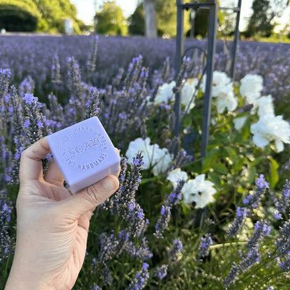 Lavender Goat Milk Handmade Soap scented by lavender fragrance, placed against the purple lavender blooms and white roses at Lavender Backyard Garden, NZ.