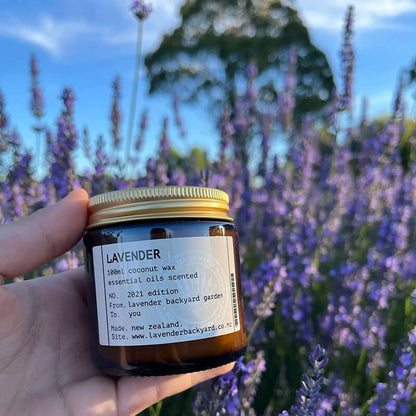 Classic Lavender Coconut Candle scented with essential oil, set against a background of blooming lavender at a New Zealand lavender farm.