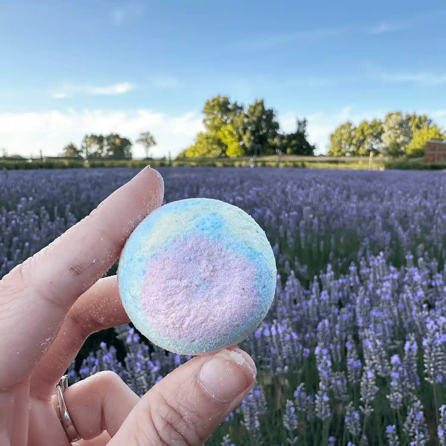 Close-up view of a bath bomb scented by lavender essential oil, with a soft, textured surface, held by hand. The lavender-colored bath bomb is showcased against a backdrop of blooming lavender flowers at Lavender Backyard Garden, NZ.