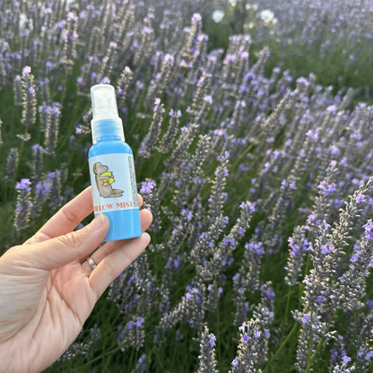 Kids Sleepwell Lavender Pillow Mist scented by essential oils, held by hand against lavender bloomings at Lavender Backyard Garden, NZ.