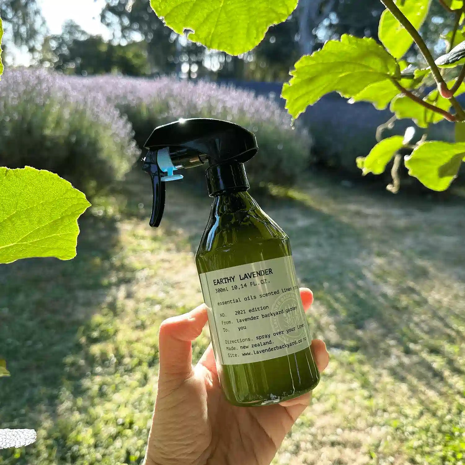 Earthy lavender room refreshener holding by hand against kiwi fruit leaves with rows of lavender from NZ lavender farm, Lavender Backyard Garden.