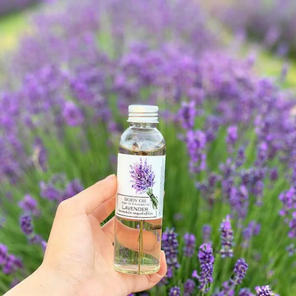 Soothing English lavender body oils with Lavandula angustifolia field as background, capturing the essence of relaxation and natural aromatherapy.