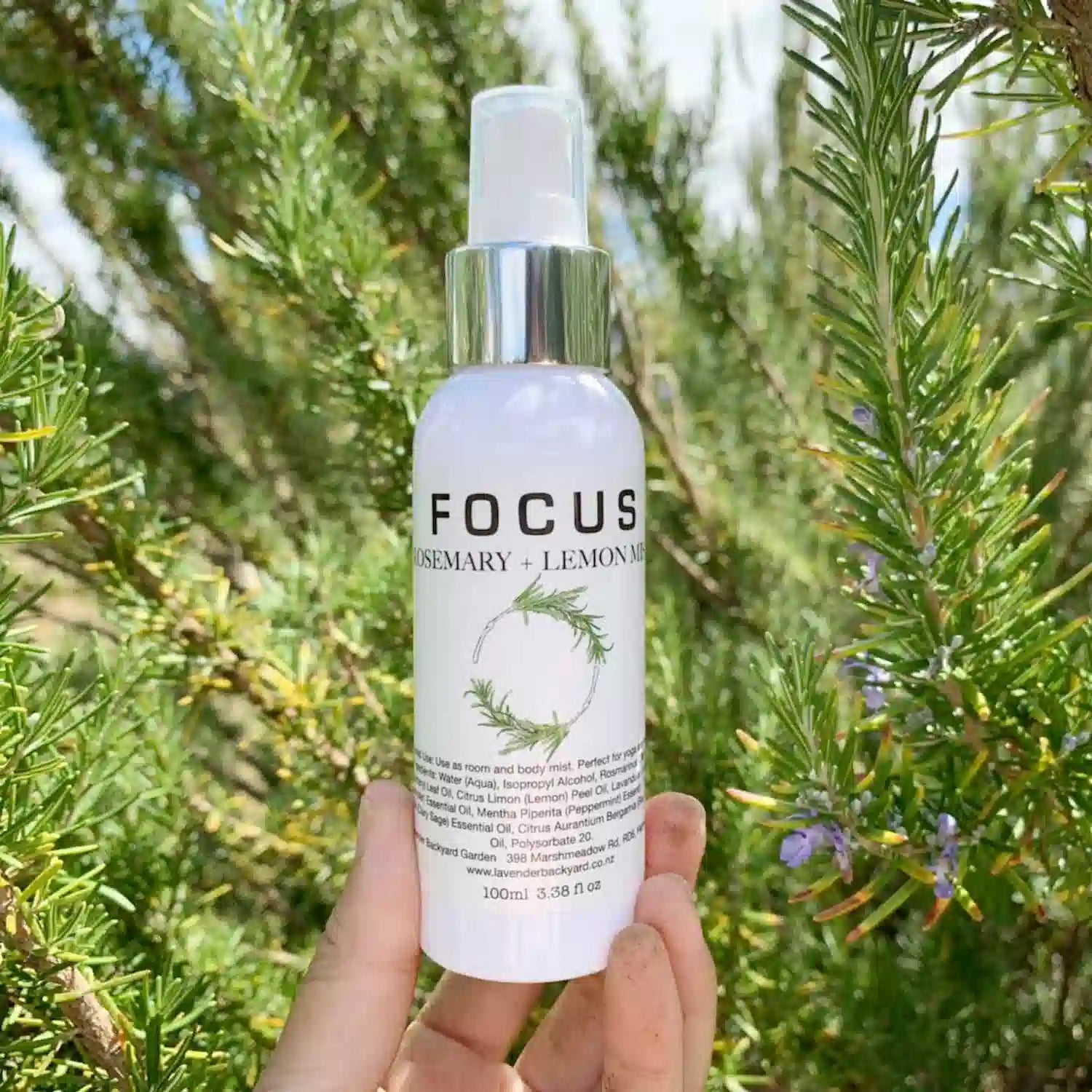 Focus Aromatherapy Spray with Pure Essential Oils set against a background of rosemary plants.