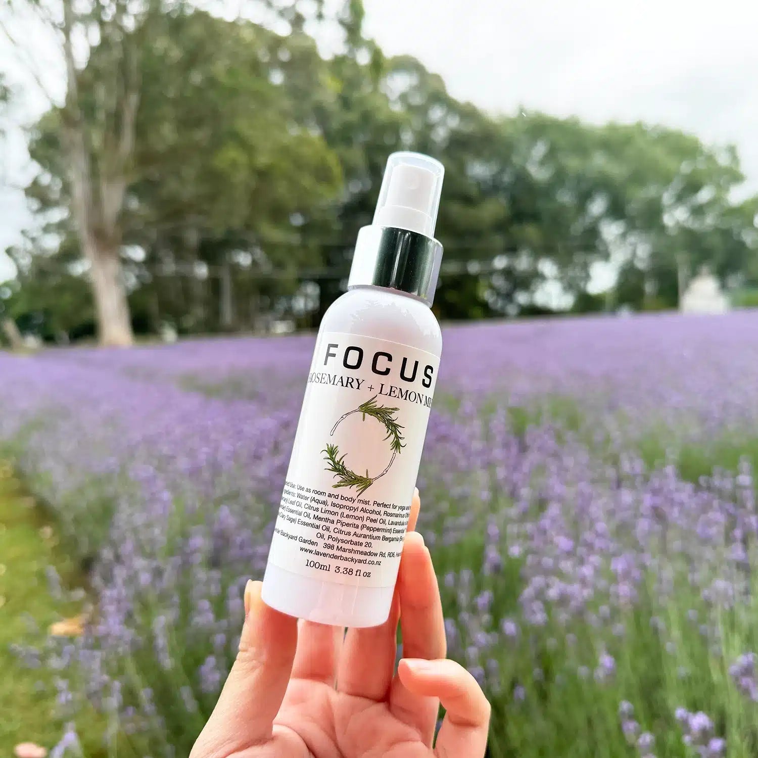 Focus Mist scented by lavender and rosemary essential oils, displayed with a background of calming lavender and greenery.