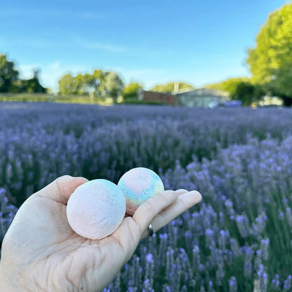 A hand holding two bath bombs scented by lavender essential oil, set against a sea of blooming lavender flowers at Lavender Backyard Garden, NZ.