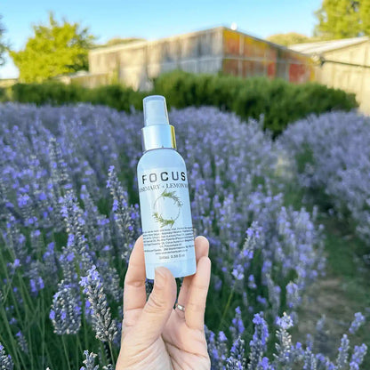 Lavender Rosemary Focus Mist holding by hand against rows of lavender blooming with the background of a farm shed at Lavender Backyard Garden, NZ.