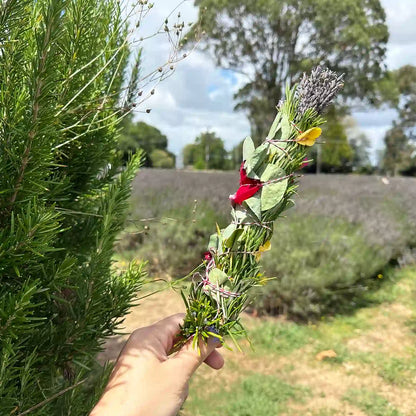 One smudge stick held by hand against a backdrop of rosemary bushes and a lavender field on a lavender farm.