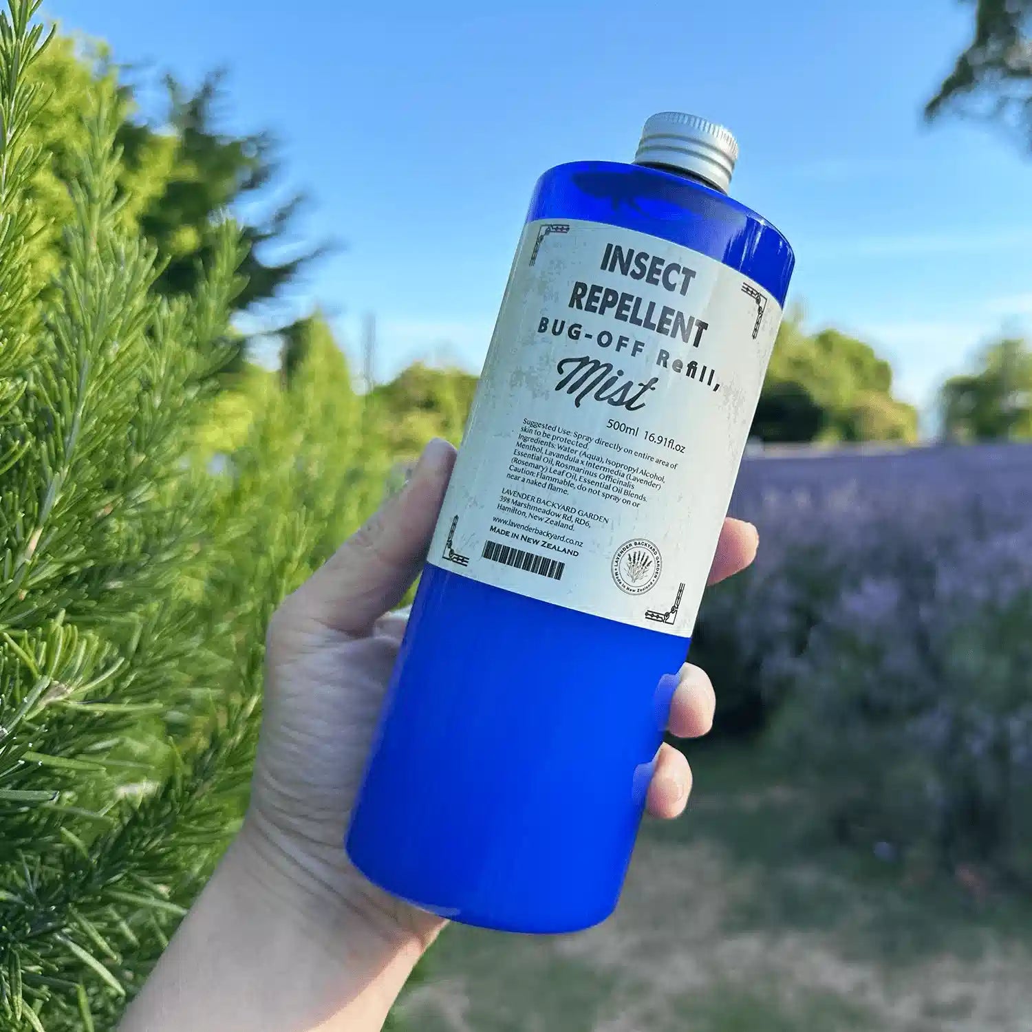 Best Insect Repellent with Essential Oils 500ml refill bottle held against a lavender field with rosemary bushes at Lavender Backyard Garden, NZ.