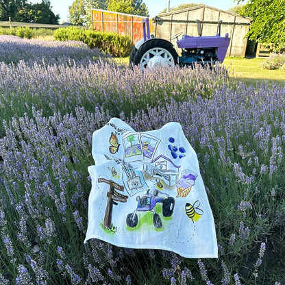 Unfolded linen tea towel against blooming lavender bushes, with a farm shed and purple tractor in the background at Lavender Backyard Garden, NZ.