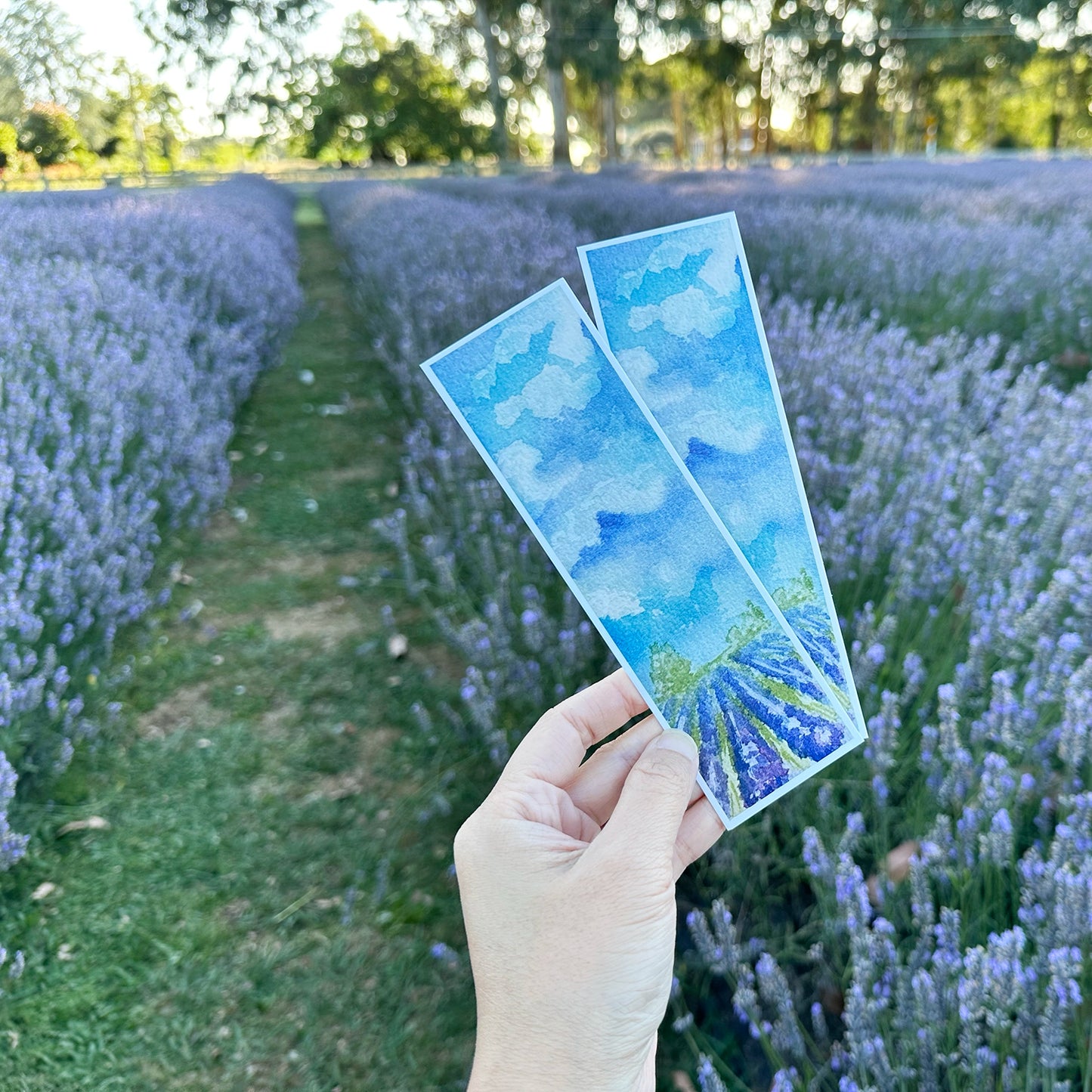 Two Lavender Field Bookmarks from Lavender Backyard Garden, NZ, held by hand against a backdrop of vibrant purple lavender rows under a clear sky.