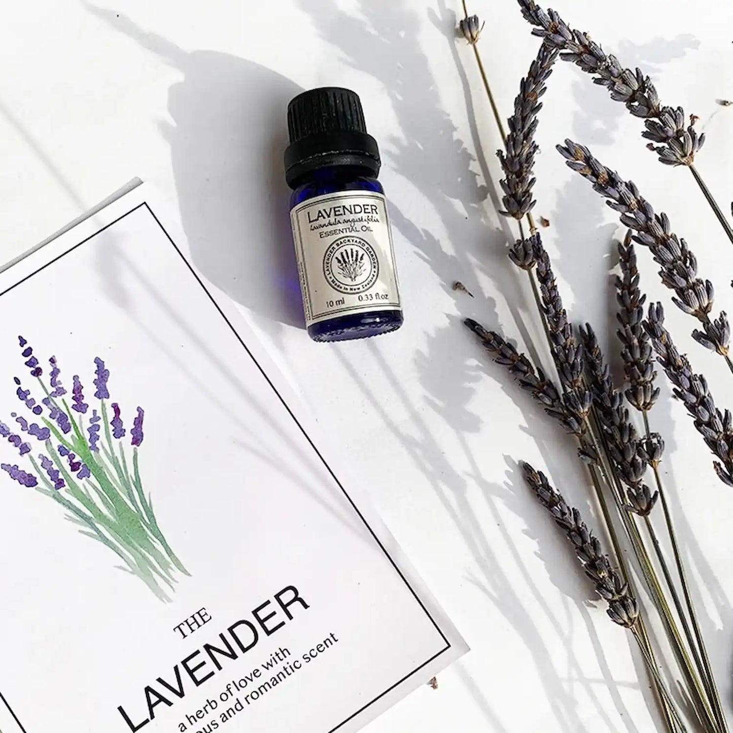 Lavender essential oil produced from NZ lavender farm with a lavender greeting card and dried lavender flowers in the background