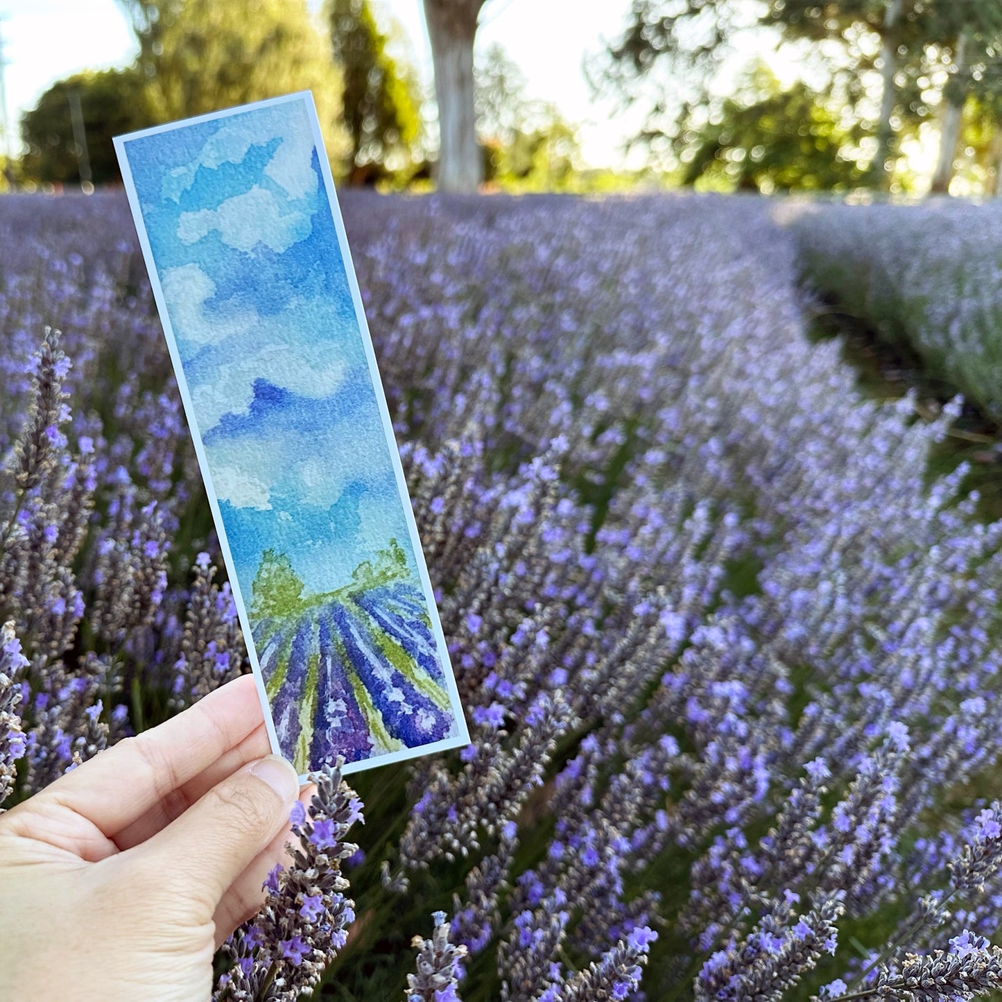 Hand holding a lavender field bookmark featuring a hand-drawn design of lavender fields, set against a backdrop of blooming lavender at Lavender Backyard Garden, NZ.