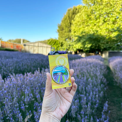 Lavender Field Fridge Magnet designed in New Zealand, featuring a picturesque scene of lavender blooming at Lavender Backyard Garden.