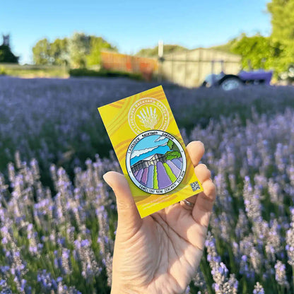 Lavender Field Fridge Magnets, designed with lavender field imagery, holding by hand against blooming lavender bushes at Lavender Backyard Garden, NZ, featuring the farm shed and purple tractor in the background.