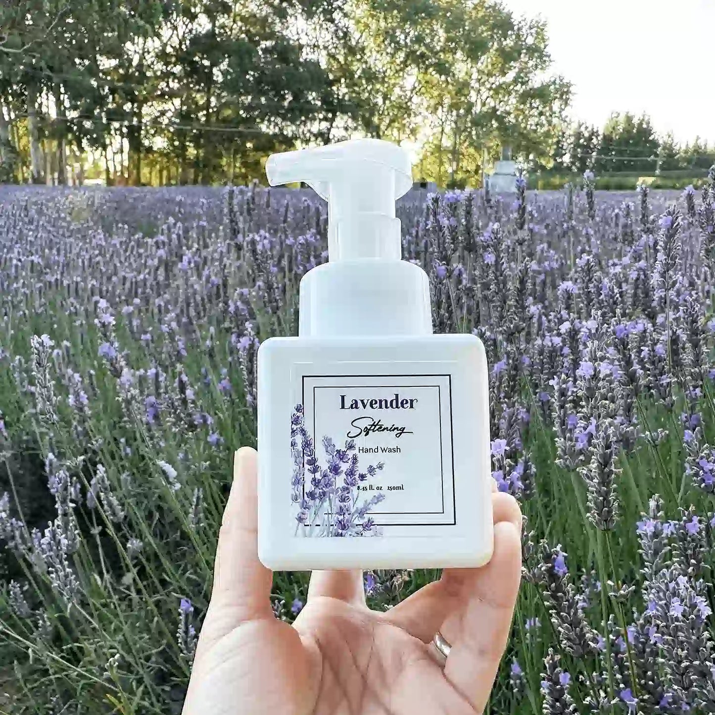 Lavender Foaming Hand Soap for hand hygiene, with its gentle lather showcased against blooming lavender at Lavender Backyard Garden, NZ. The vibrant purple flowers create a peaceful backdrop for the aromatic soap.