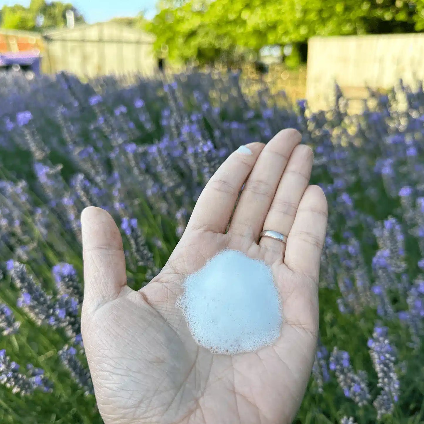 One drop of Lavender Foaming Handwash Castile Soap on hand showcasing the texture of foaming soap, with a lavender field in the background at Lavender Backyard Garden, NZ.