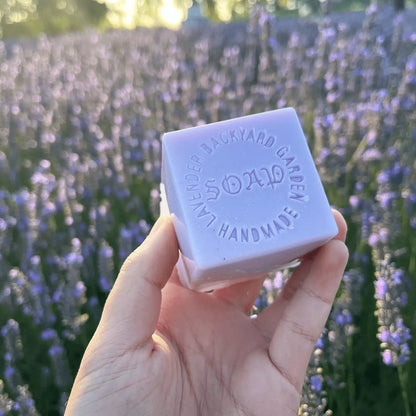 Close-up view of Lavender Goat Milk Handmade Soap held by hand, with a beautiful sunset and blooming lavender in the background at Lavender Backyard Garden, NZ.