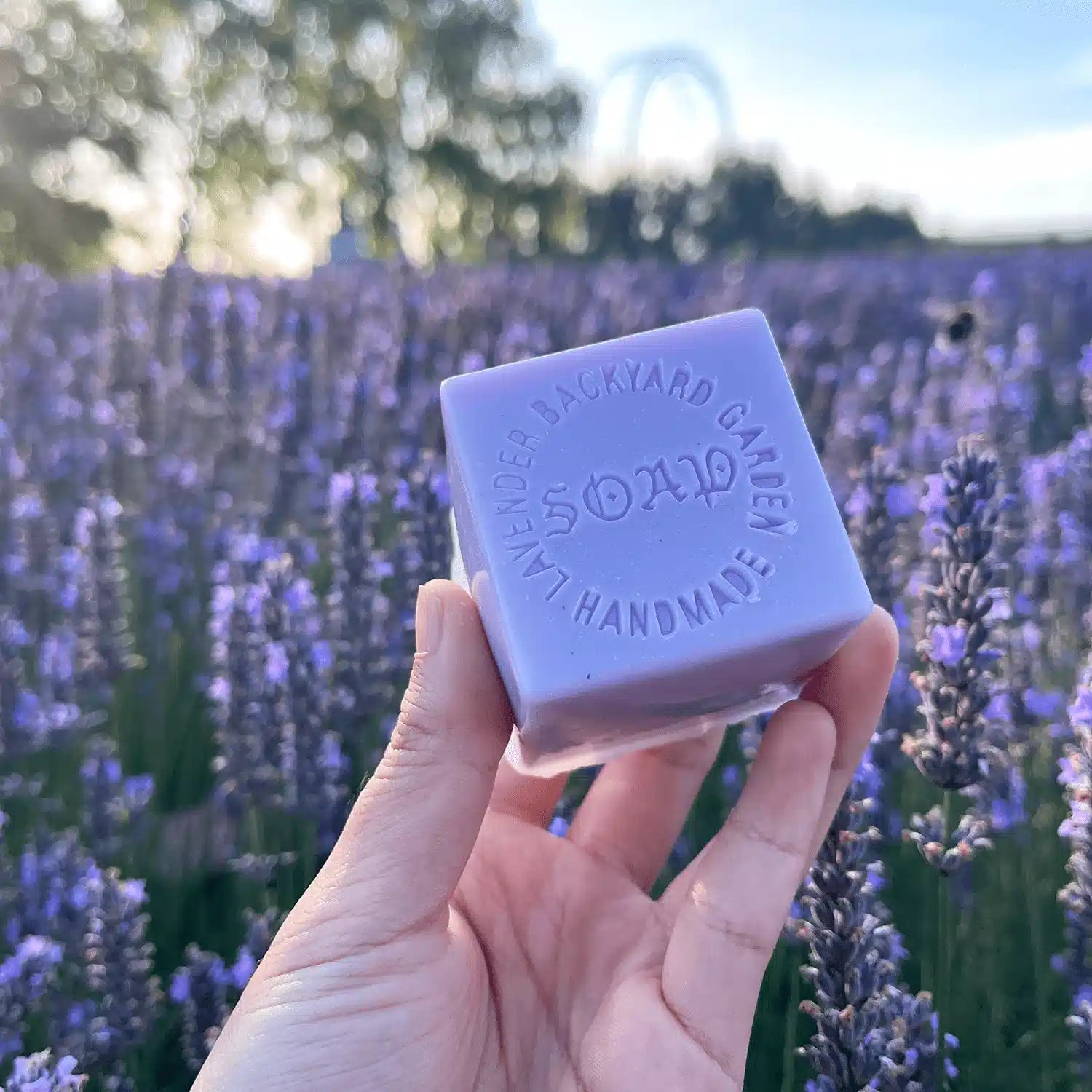 Lavender Goat Milk Handmade Soap held by hand against a stunning sunset with blooming lavender in the background at Lavender Backyard Garden, NZ.