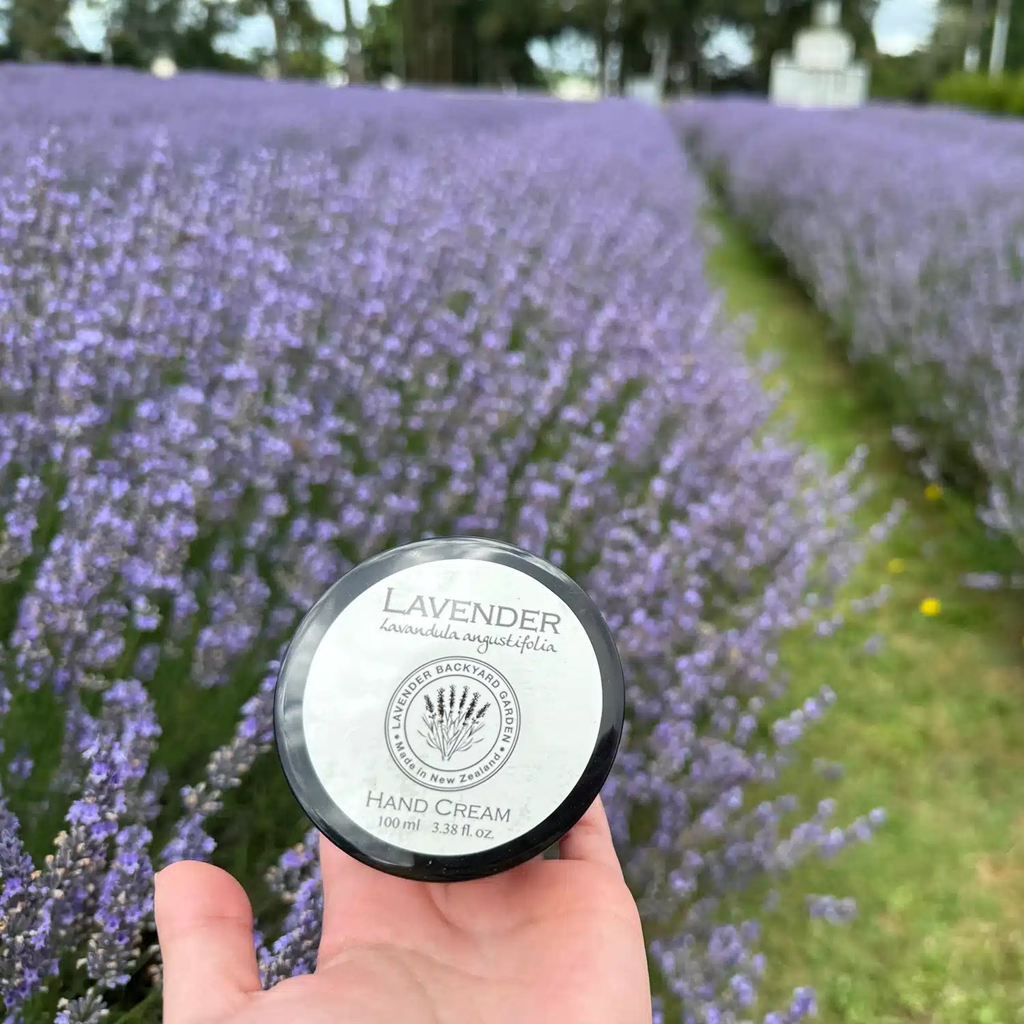 Lavender Hand Cream, scented by essential oils, displayed against a lavender field background at Lavender Backyard Garden, NZ.