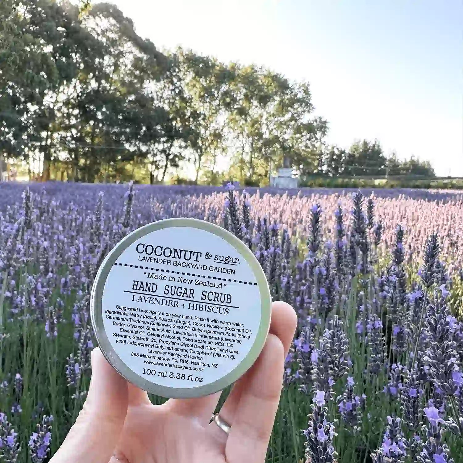 One pot of lavender hand sugar exfoliator held by hand against a field of purple lavender flowers at NZ lavender farm, Lavender Backyard Garden.