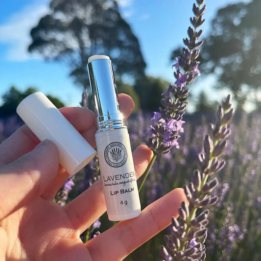 Lavender lip balm designed for dry lips, set against a close-up backdrop of blooming lavender flowers in the field, emphasizing its natural ingredients and soothing properties.