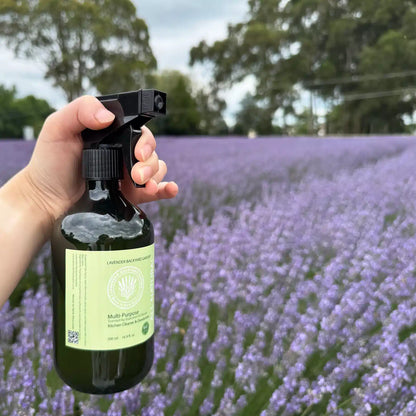 Lavender Multi-Purpose Kitchen Cleaner - Enzyme Based, held by hand among purple lavender blooms in the Lavender Backyard Garden, NZ.