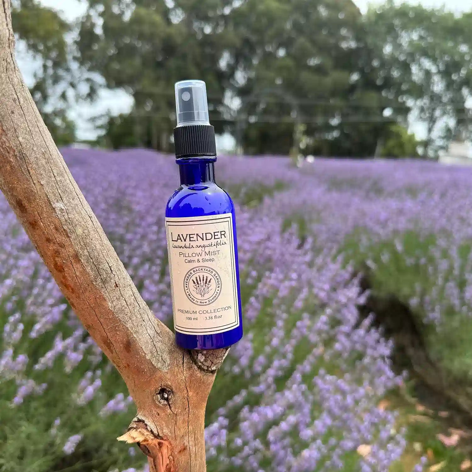 A bottle of lavender pillow mist scented with essential oil, placed on a wood stick, set against the background of a lush lavender field in New Zealand.