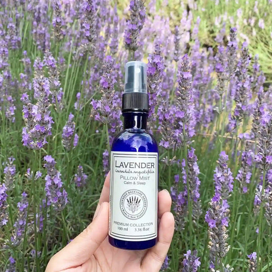 Lavender sleep spray amidst blooming lavender flowers.