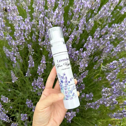 Lavender pure hydrosol face toner held by hand among blooming lavender flowers at Lavender Backyard Garden, NZ.