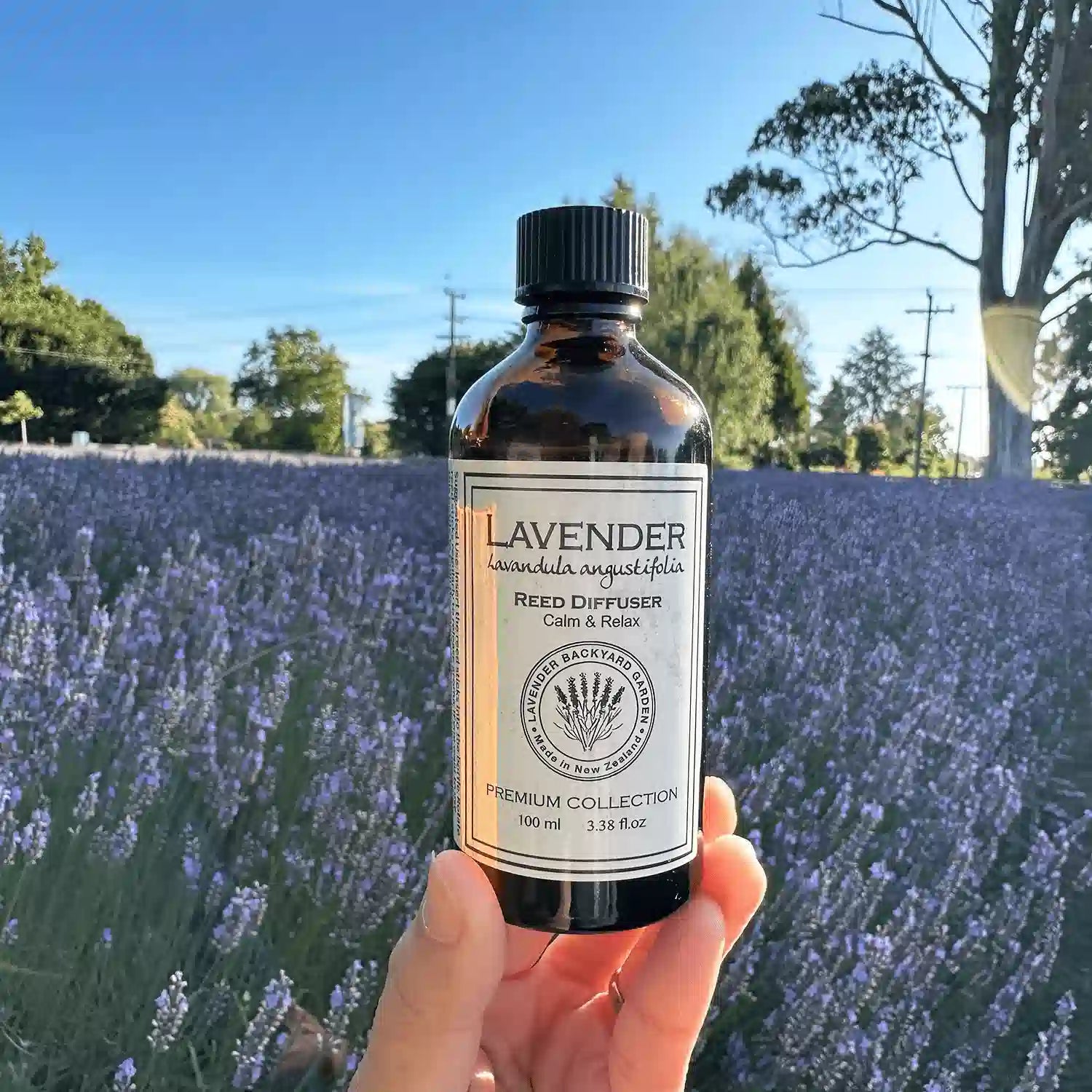 One amber bottle of Lavender Reed Diffuser held by hand, reflecting light against a sunset over lavender blooming fields at Lavender Backyard Garden, NZ. The warm glow of the bottle complements the serene lavender hues.