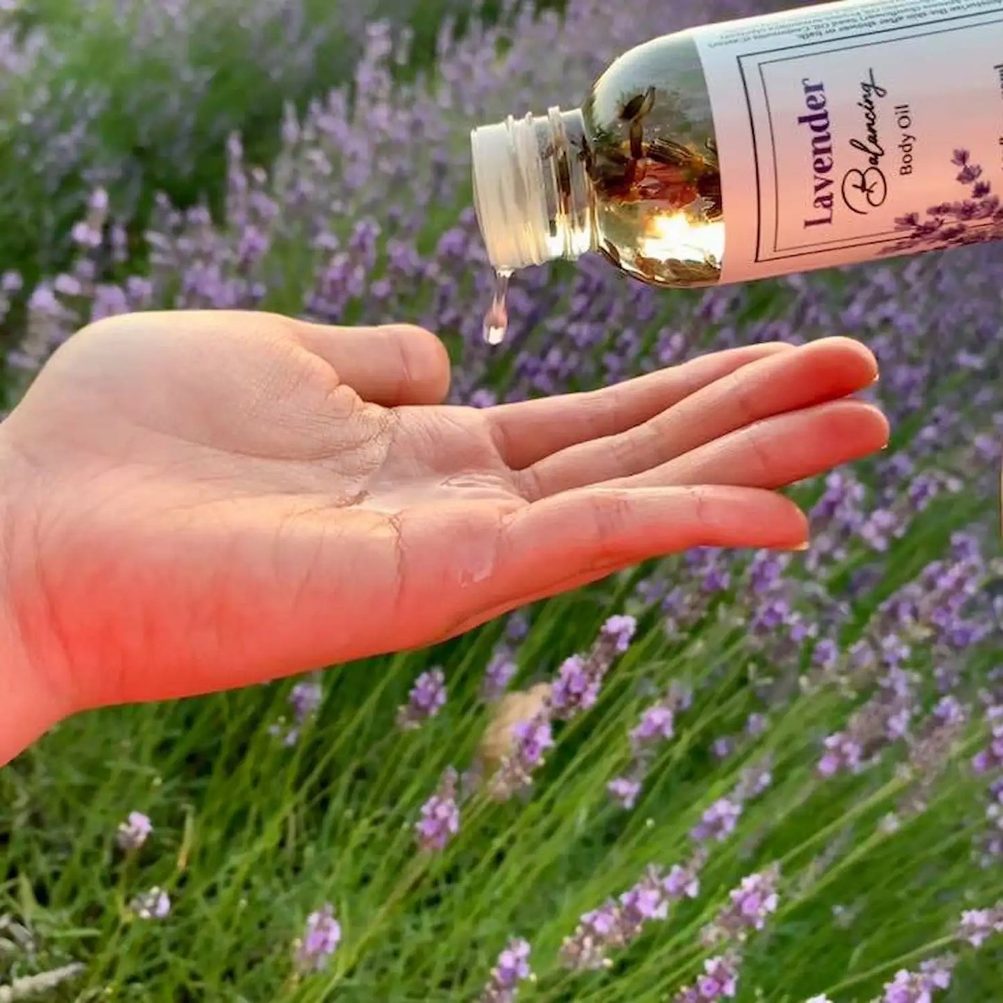 Lavender scented body oil with argan oil set against a background of blooming lavender fields.