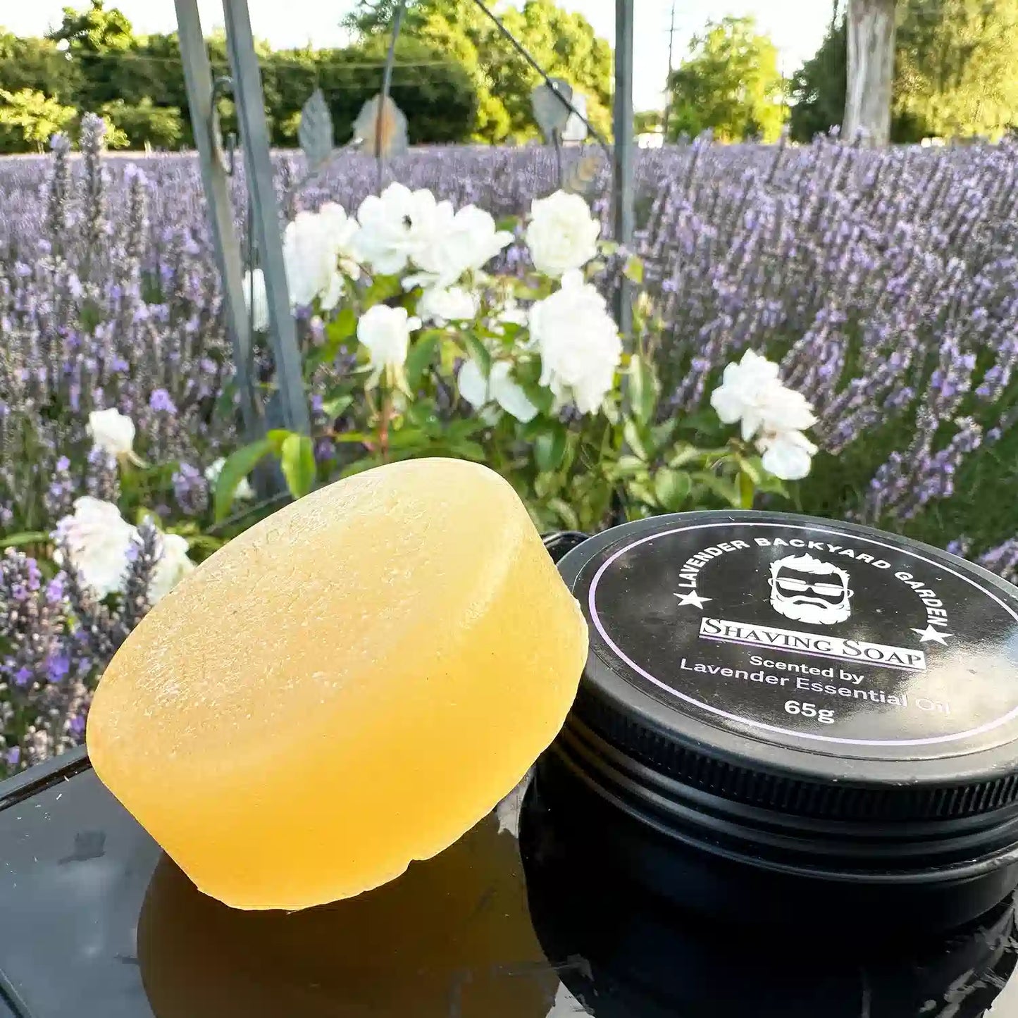 Two Lavender Shea Butter Shaving Soaps, one in its tin and the other as a soap itself, placed against a lavender field and white roses at Lavender Backyard Garden, New Zealand.