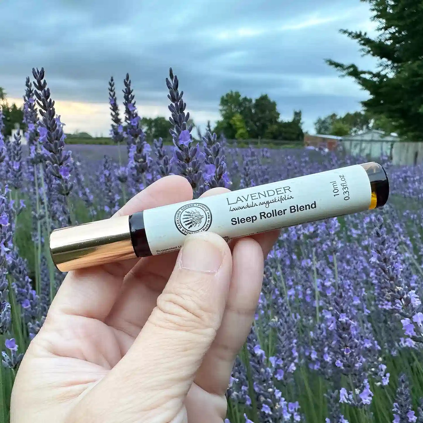 Lavender sleep roll-on blended with essential oils, placed against the serene backdrop of a blooming lavender field at Lavender Backyard Garden, New Zealand.