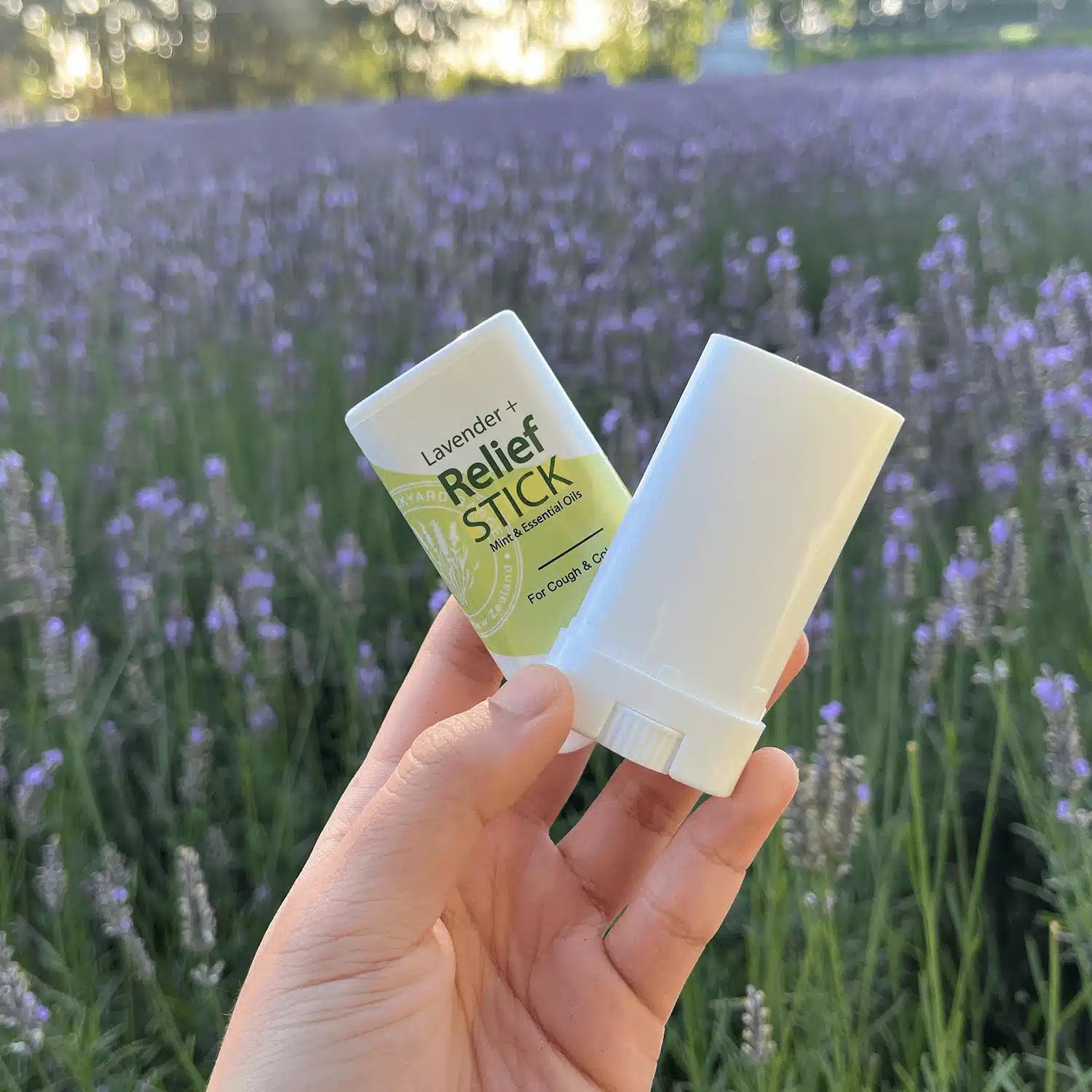 Lavender Soothe & Relief Balm held by hand against the backdrop of blooming lavender fields at NZ Lavender Backyard Garden.