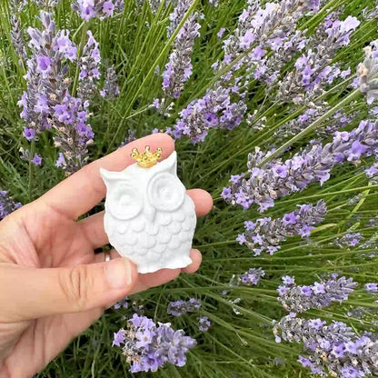 Mini owl stone diffuser with a crown, held by hand among blooming lavender flowers at Lavender Backyard Garden.