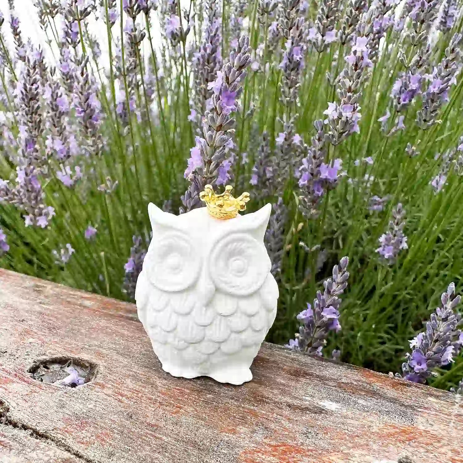 Mini owl stone diffuser with a crown, placed on a wooden bench with blooming lavender flowers in the background at Lavender Backyard Garden.