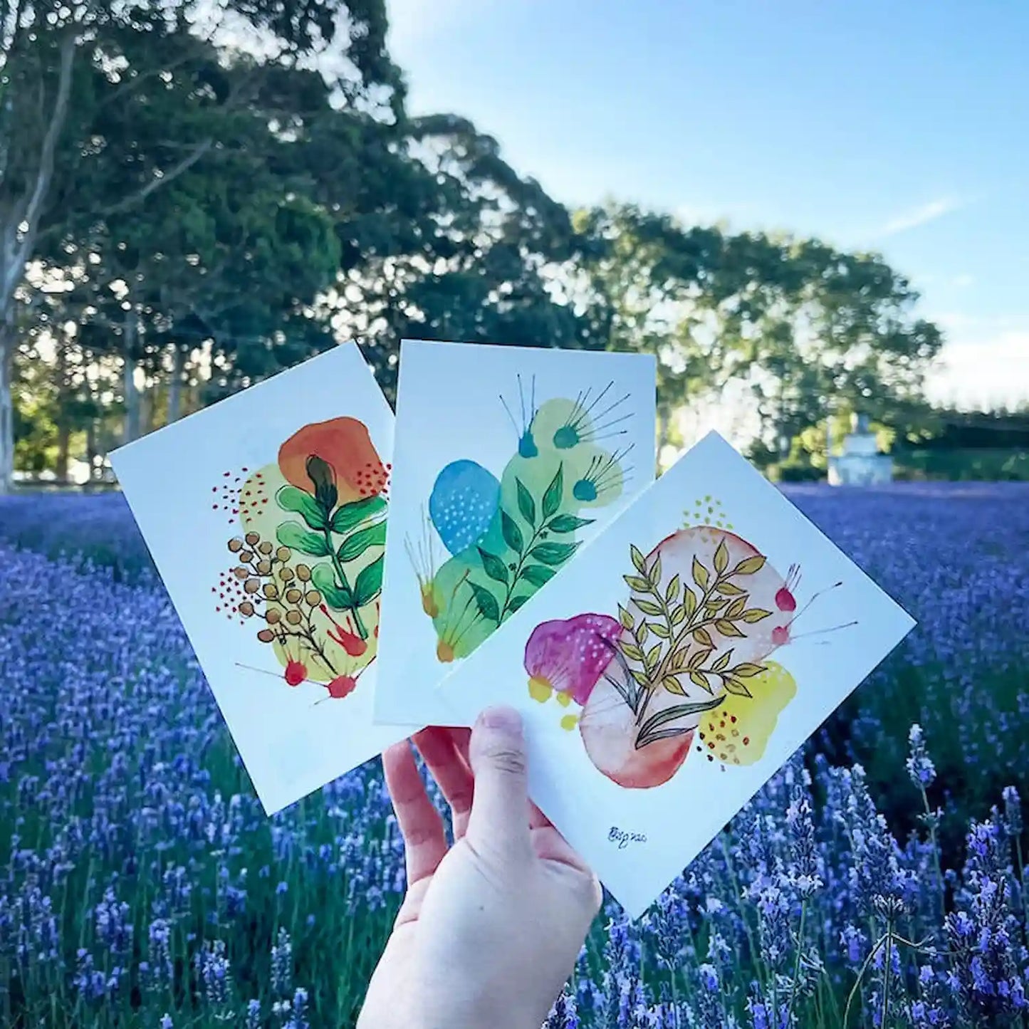 Three greeting cards with abstract designs, set against a background of a lavender field in New Zealand during summer.