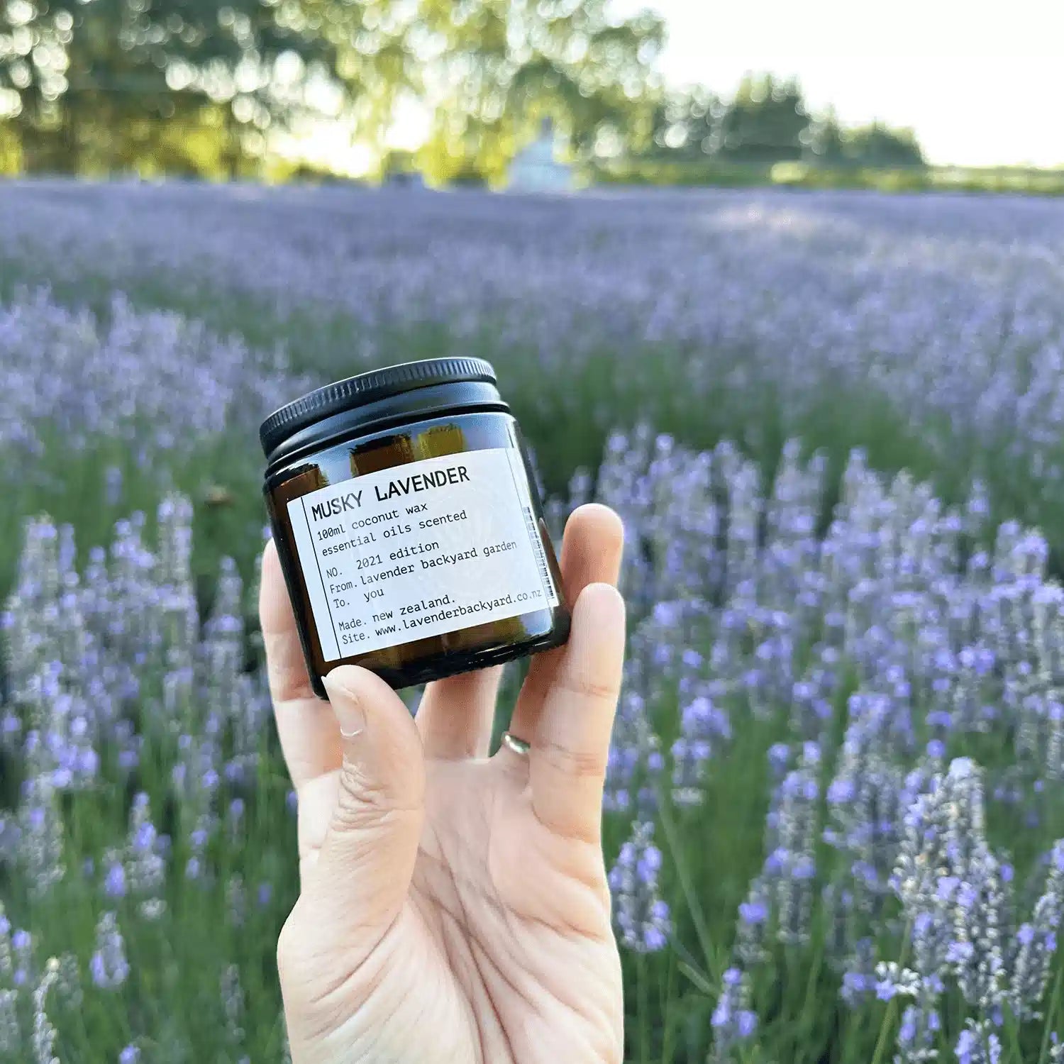 Musky Lavender Candles with luxury essential oil scent, placed against a lavender field background.