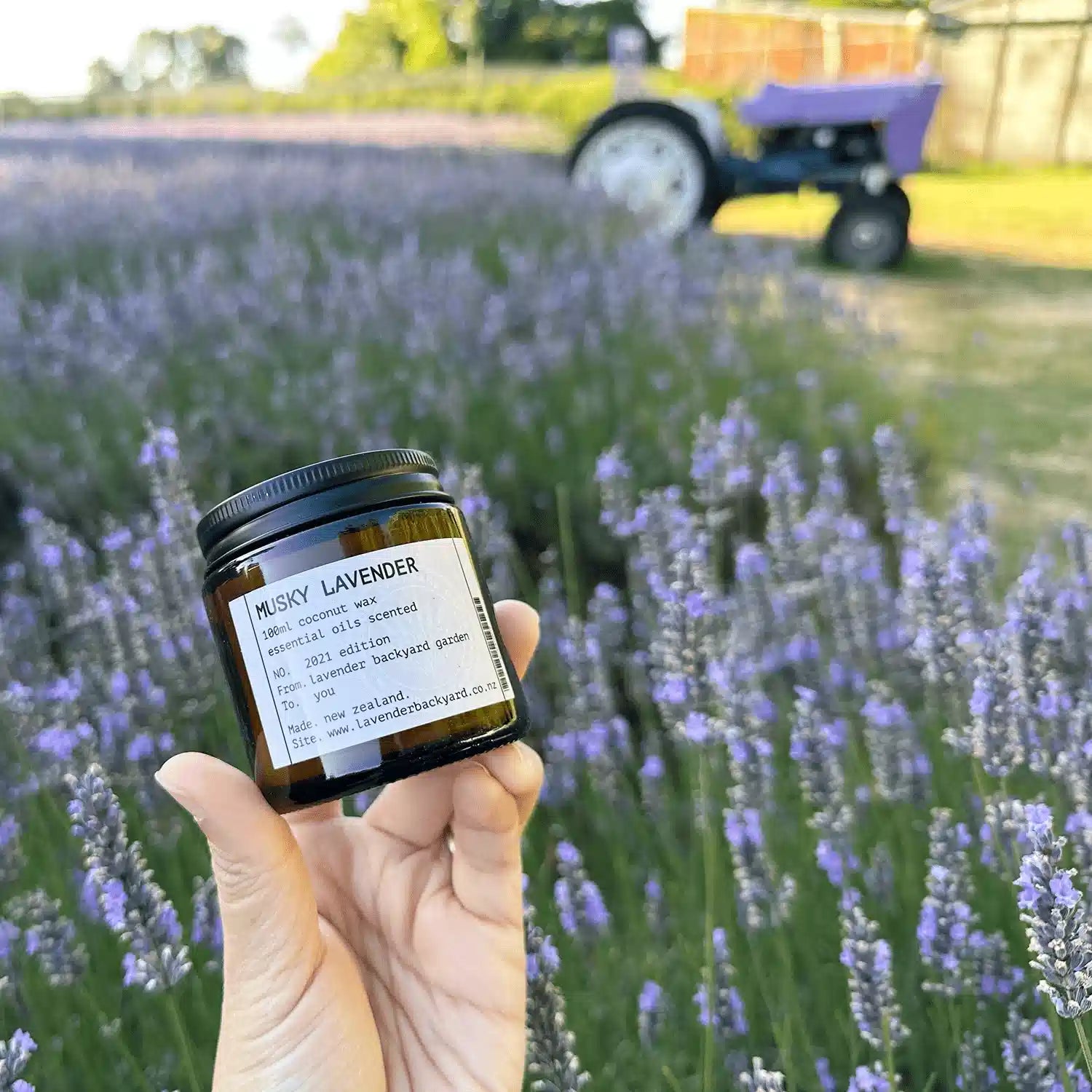 Musky Lavender Patchouli Coconut Candle, placed on a surface with a backdrop of lavender blooming in the field, featuring a rustic farm shed and purple tractor at Lavender Backyard Garden, NZ.