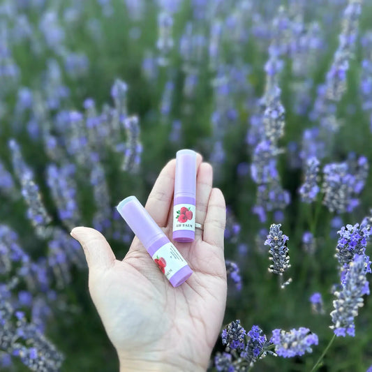 Natural Flavoured Raspberry Shea Lip Balm, held by hand on top of blooming lavender flowers.