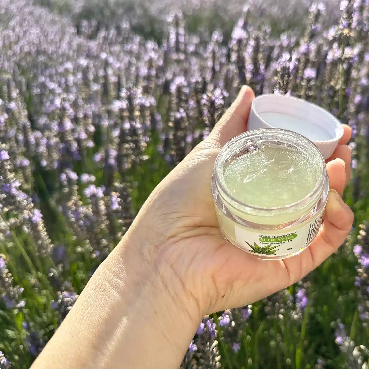 Natural Lavender Aloe Vera Gel with lid open, revealing the green gel inside, against a sunset-lit lavender field at Lavender Backyard Garden, New Zealand.