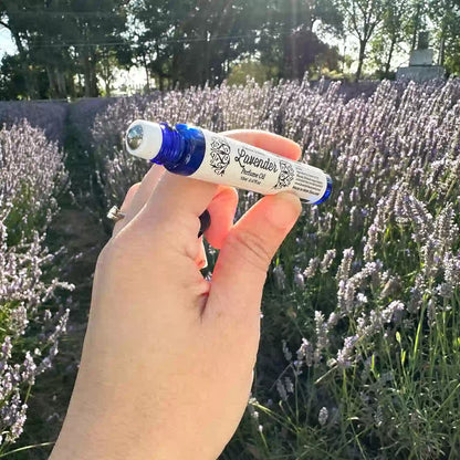 Natural Light Perfume Pulse Point, held by hand with open lid revealing the roller ball, against the background of a lavender blooming field at Lavender Backyard Garden, New Zealand.