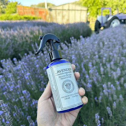 Natural Room Spray Air Freshener for Home, held in hand with a soft mist, against rows of lavender blooming, farm shed, and purple tractor in a farm theme at Lavender Backyard Garden, NZ.