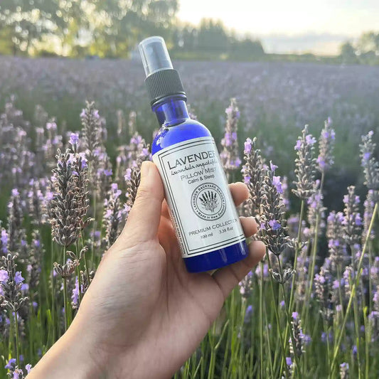 Lavender Essential Oil Pillow Mist - Good Night Sleep, held by hand against a sunset backdrop of the purple lavender field at Lavender Backyard Garden.